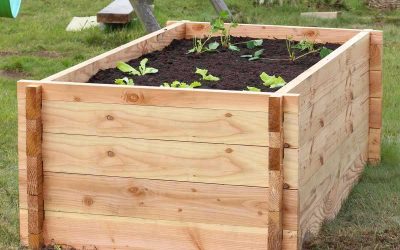 Le carré potager : un élément indispensable sur les balcons