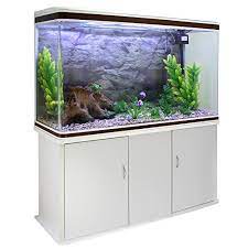Top 3 des aquariums avec meuble complet